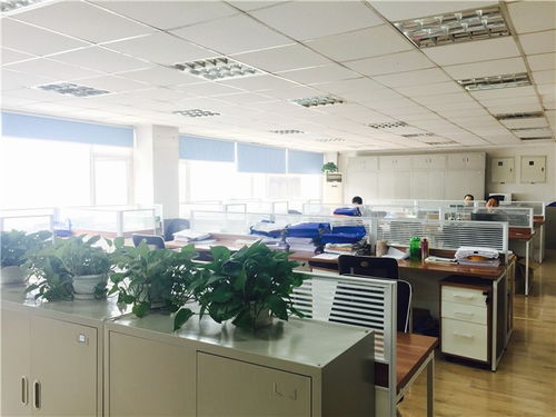 攀枝花投標審計報告多少錢德維會計師事務所誠信為本,簡單快捷出審計報告